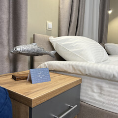 Гостиница Iterra hotel, Мурманская область