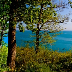 Пансионат Южный, Краснодарский край