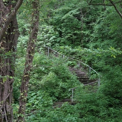 Пансионат Южный, Краснодарский край