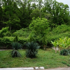 Пансионат Южный, Краснодарский край