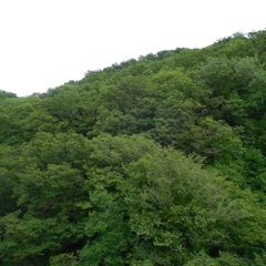 Пансионат Южный, Краснодарский край