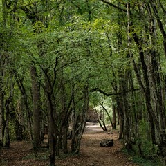 База отдыха Уркуста-парк (Передовое), Крым