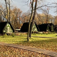 Турбаза Турбаза "Робинзон - Eco Village", Саратовская область