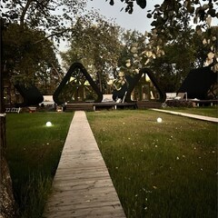 Турбаза Турбаза "Робинзон - Eco Village", Саратовская область