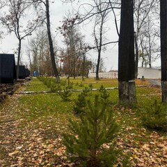 Турбаза Турбаза "Робинзон - Eco Village", Саратовская область