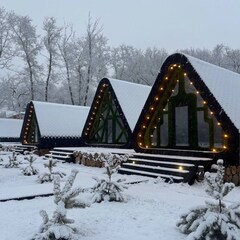 Турбаза Турбаза "Робинзон - Eco Village", Саратовская область