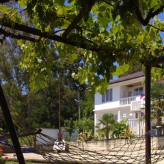 Гостевой дом Наргиз, Гагрский район