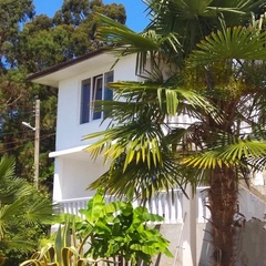 Гостевой дом Наргиз, Гагрский район