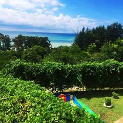 Гостевой дом Наргиз, Гагрский район