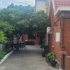 Гостевой дом Толстого 37 (Геленджик), Краснодарский край