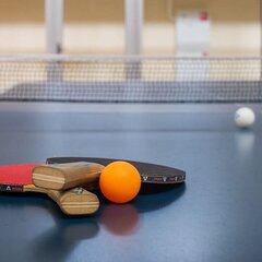 Загородный отель Теплеево резорт 4*, Московская область