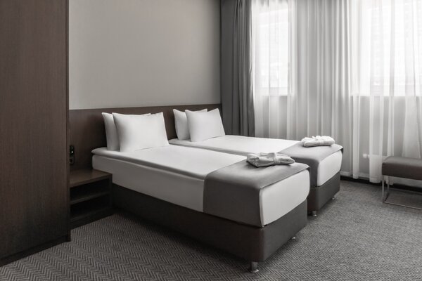 Бизнес 2-местный TWIN