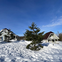 База отдыха Dream House, Ленинградская область