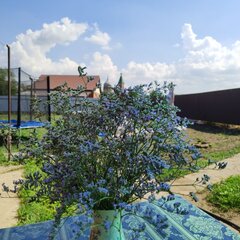 Дом Любимая Дача, Ростовская область