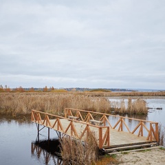 База отдыха Хитрый лис, Республика Карелия