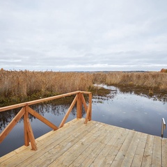 База отдыха Хитрый лис, Республика Карелия