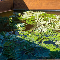 База отдыха Хитрый лис, Республика Карелия