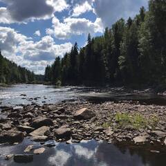База отдыха Хитрый лис, Республика Карелия