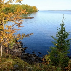 База отдыха Хитрый лис, Республика Карелия