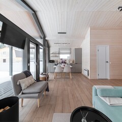 Домик в Южном парке, Московская область