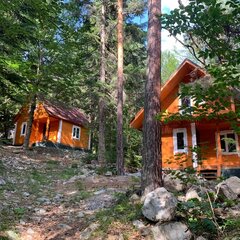 База отдыха Мухоморье, Республика Карачаево-Черкесия 