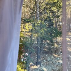 База отдыха Мухоморье, Республика Карачаево-Черкесия 