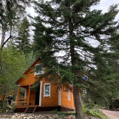 База отдыха Мухоморье, Республика Карачаево-Черкесия 