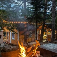 База отдыха Мухоморье, Республика Карачаево-Черкесия 