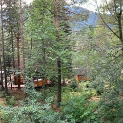 База отдыха Мухоморье, Республика Карачаево-Черкесия 