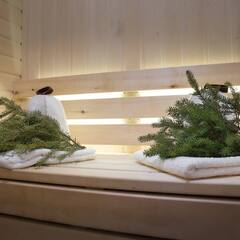 Домик в Этномире, Калужская область