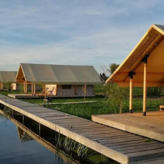 Глэмпинг Остров, Московская область