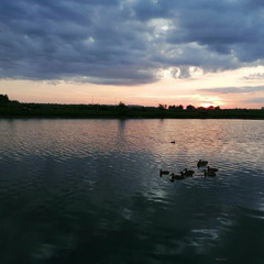 Глэмпинг Остров, Московская область