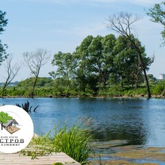 Глэмпинг Остров, Московская область