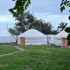 Глэмпинг Калмыцкий дворик Сансара, Республика Калмыкия