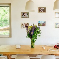 Дом на Пахре, Московская область