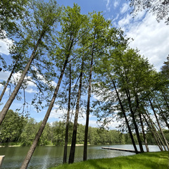 Загородный клуб Озёра, Липецкая область