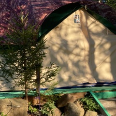 База отдыха Таганай Сити , Челябинская область