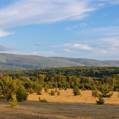 Эко-отель Рыбацкая Артель, Республика Бурятия