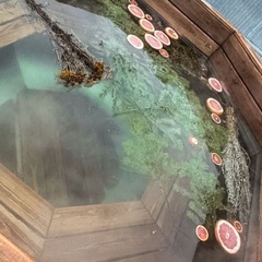 Гостевой дом Семейный, Татарстан