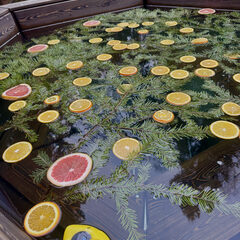 Гостевой дом Дом и Елки, Московская область