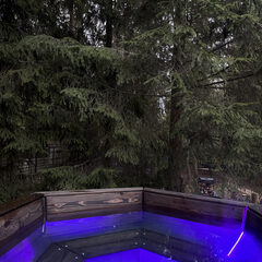 Гостевой дом Дом и Елки, Московская область