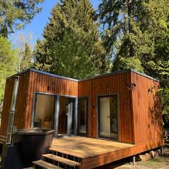 Гостевой дом Дом и Елки, Московская область