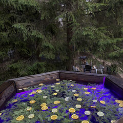 Гостевой дом Дом и Елки, Московская область