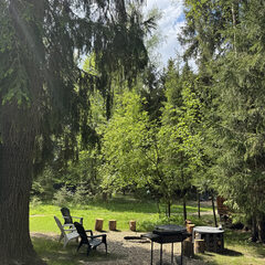 Гостевой дом Дом и Елки, Московская область