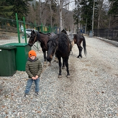 Отель Брусника, Республика Карачаево-Черкесия 