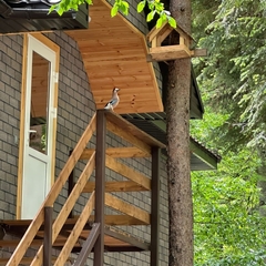 Отель Брусника, Республика Карачаево-Черкесия 