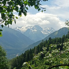 Отель Брусника, Республика Карачаево-Черкесия 