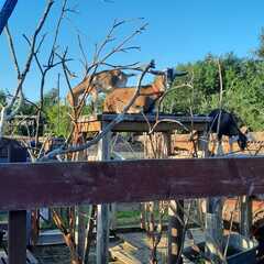 Эко-комплекс Печки-лавочки, Московская область