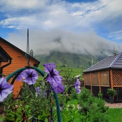 База отдыха Дача Удача, Республика Алтай