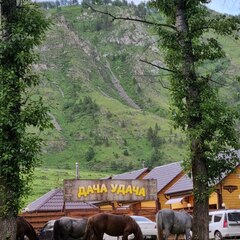 База отдыха Дача Удача, Республика Алтай
